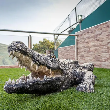 Caiman Lejlighed